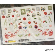 Gala Smart   No:wc-37