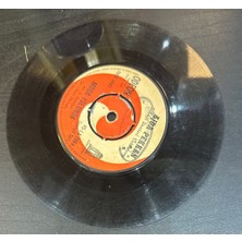 Kadıköy Plak Kulübü Ajda Pekkan – Moda Yolunda / Serseri 45'lik