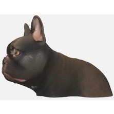 Noctabir Frenchie Ekmek Oyuncağı Olarak