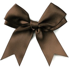 Hapshoe 10 Adet Kahverengi Saten Fiyonk Süsleme Kurdele Seti