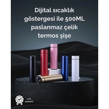 Shoplet Buğz LED Sıcaklık Ölçerli 250 ml Yalıtımlı Termos Şişe