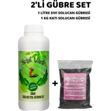 Bitki Çoşturan Bakım ve Besleme Seti