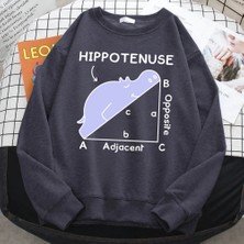 Trend Sonbahar Kazak Kadınlar Için Hippo Matematik Sorunu Üzerinde Uyku Baskı Hoody Yumuşak P