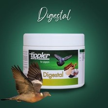 Tippler Digestal (Güvercin Sindirim Düzenleyici-Inaktif Bira Mayası)