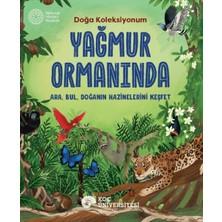 Koç Üniversitesi Yayınları Yağmur Ormanında