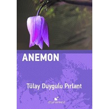 Öteki Yayınevi Anemon