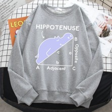 Trend Sonbahar Kazak Kadınlar Için Hippo Matematik Sorunu Üzerinde Uyku Baskı Hoody Yumuşak P