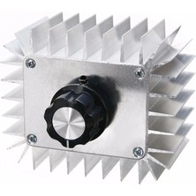 China 5000W 220V Ac Motor Dimmer Hız Kontrol Kartı