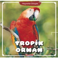 Yumurcak Yayınları Tropik Orman - Hayvanlar Dünyası