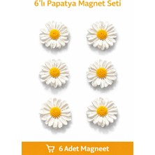 Daisynote 6’lı Papatya Figürlü Buzdolabı Magnet Seti – Dekoratif & Not Tutucu Magnetler (4,8 Cm)