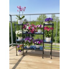 Lider Tunç Tuniva Luna Modern Tasarım Basamaklı Çiçeklik Standı - Çok Amaçlı Balkon ve Iç Mekan Rafı