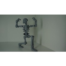 Noctabir Oyuncak Iskelet