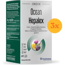 Ocean Hepalex 60 Kapsül - 3 Adet (180 Kapsül) - Dezenfektan Hediyeli (%72 Alkol)