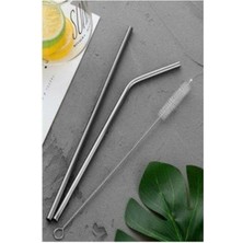 Reoona 3 Parça Metal Pipet Seti Paslanmaz Çelik Pipet ve Çubuk Pipet Temizleme Fırçası