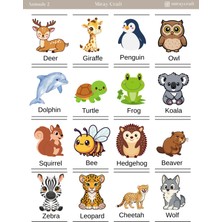 Miray Craft 1 Sayfa Çıkartmalarla Ingilizce Keşfi – Hayvanlar Temalı Eğitici Sticker Sayfası (12×17 Cm)