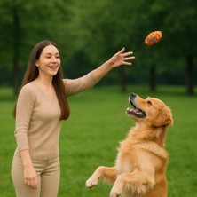 Ervinay Kedi Köpek Isırma Topu Sesli
