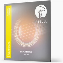 Hype Store Klasik Gitar Teli Silver Seri Normal Tansiyon Set Scg Nt