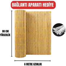AYGHOME - 80CM x 6 Metre Doğal Kamış Hasır Çit - Paslanmaz Misina Örgülü & Bağlantı Aparatlı (Tek Parça)