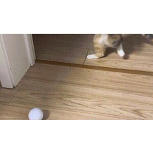 Noctabir Komik Kedi Topu