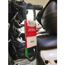 MTYL Musatti Siena 50 125 (Özel Seri) Uyumlu Japon Üretim Bando Kayış