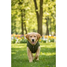 Zen Dog ZenPaw Kapüşonlu Köpek Montu – Fermuarlı, Yumuşak Iç Astar, Soğuk Havalara Uygun