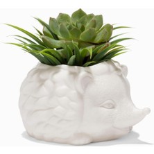 Hype Store Kikkerland – Kirpi Saksısı - Sevimli Seramik Hayvan Sukulent Bitki Saksısı - 7,8 cm x 14,8 cm x 13 C