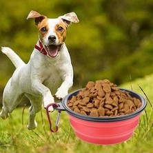Kaia Life Katlanabilir Kedi Köpek Mama ve Su Kabı Köpek Oyuncağı