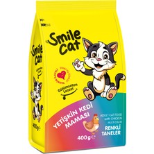 Smile 400 gr Kuru Kedi Maması Yetişkin Mix *8'li