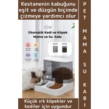 Wintoup Premium Pet Evcil Hayvan Küçük Irk Köpek Kedi 2'si 1 Arada Çift Hazneli Şık Otomatik Mama Su Kabı