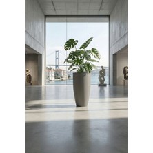 DEQQU Aura Curva 75X42CM Kıvrımlı Konik Fiberglass Saksı Büyük Boy Iç Dış Mekan Dış Mekan