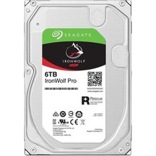 Kaia Life 6 Tb Seagate 3.5 Ironwolf Pro Sata3 7200RPM 256MB ST6000NT001 (5 Yıl Resmı Dıst Garantılı)