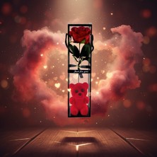 Genel Ayıcıklı Şeffaf Kutulu Tekli Gül