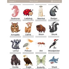 Miray Craft 1 Sayfa Çıkartmalarla Ingilizce Keşfi – Hayvanlar Temalı Eğitici Sticker Sayfası (12×17 Cm)