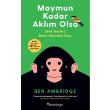 Domingo Yayınevi Maymun Kadar Aklım Olsa