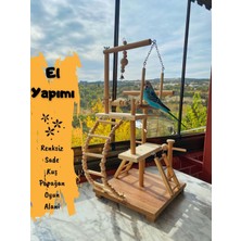 Ciko Kafes Sade Kuş Papağan Oyun Parkı Alanı