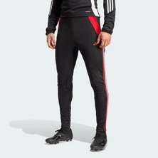 Adidas Predt Eşofman Altı