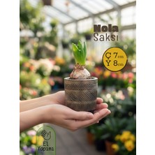 Nola Kahverengi Seramik Saksı 7*8cm