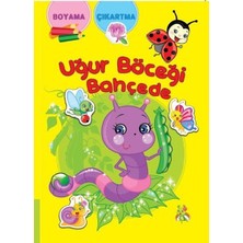 Koloni Çocuk Uğur Böceği Bahçede