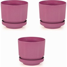 Hype Store 3’lu Plastik Tabaklı Saksı 3 Adet Fuşya, 1,7lt