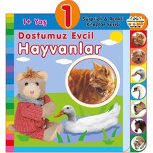 0-6 Yaş Yayınları Dostumuz Evcil Hayvanlar (1+Yaş)