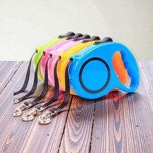 Bite Nose Makaralı Otomatik Köpek Tasması 3 Metre | Kilitli Mekanizma | Dayanıklı & Ergonomik Gezdirme Tasması