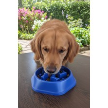 Zen Dog Yavaş Yeme Mama Kabı – Anti-Gulp Tasarımlı, Kaymaz Tabanlı Köpek ve Kedi Mama Kabı