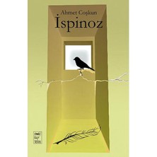 Binbir Göz Kitap Ispinoz