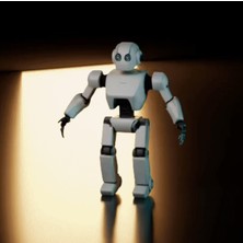 Noctabir Vahşi Robot