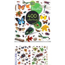 Dstil Tasarım Eğlen Öğren - Böcekler 400 Çıkartma