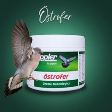 Tippler Östrofer (Güvercin Üreme Düzenleyici)