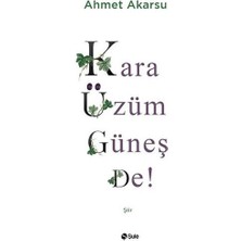 Şule Yayınları Kara Üzüm Güneş De