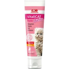 Bio PetActive Vitalicat Junior Paste 100 ml Yavru Kediler Için Vitamin Pasta Yavru Kedi Malt