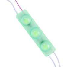 Powermaster 12 Volt 1.5 Watt Yeşil Yanıp Sönen Parlak Tek Renk 2835 69 x 16 mm IP65 160 – 180 Lümen 160 Derece Modül LED