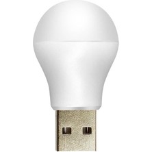 Powermaster PM-20920 5V 1A USB LED Lamba